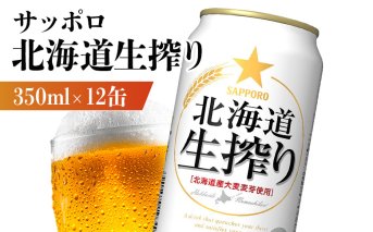 サッポロ 北海道生搾り 350ml×12缶【880151】
