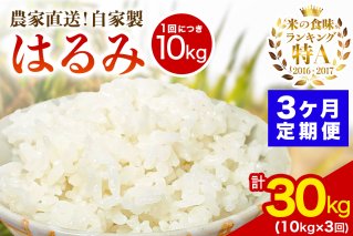 [定期便／3ヶ月連続 ] 新米 [令和7年産] 伊勢原産 精米10kg(5kg×2袋) はるみ 農家直送！加藤さんちのうんめぇ！自家製米｜お米 おこめ コメ 白米 神奈川 伊勢原 ブランド米 [0741]