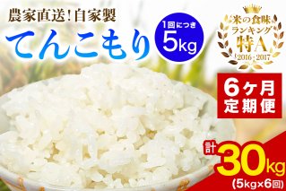 [定期便／6ヶ月連続 ] 新米 [令和7年産] 伊勢原産 精米5kg てんこもり 農家直送！加藤さんちのうんめぇ！自家製米｜ お米 おこめ コメ 白米 神奈川 伊勢原 [0745]