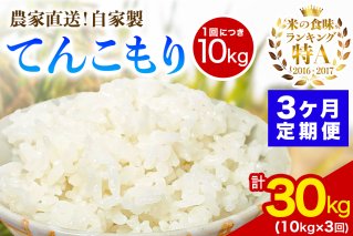 [定期便／3ヶ月連続 ] 新米 [令和7年産] 伊勢原産 精米10kg(5kg×2袋) てんこもり 農家直送！加藤さんちのうんめぇ！自家製米｜ お米 おこめ コメ 白米 神奈川 伊勢原 [0746]