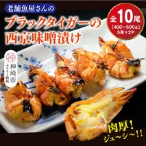 ブラックタイガーの西京味噌漬け 5尾×2パック【海老 味噌漬け 焼くだけ 簡単調理 エビ料理 おつまみ おかず バーベキュー お弁当】(H032140)