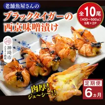 【6カ月定期便】ブラックタイガーの西京味噌漬け 5尾×2パック×6回【海老 味噌漬け 焼くだけ 簡単調理 エビ料理 おつまみ おかず バーベキュー お弁当】(H032143)