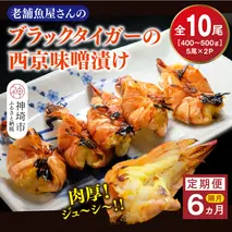 【隔月定期便6回】ブラックタイガーの西京味噌漬け 5尾×2パック×6回【海老 味噌漬け 焼くだけ 簡単調理 エビ料理 おつまみ おかず バーベキュー お弁当】(H032147)