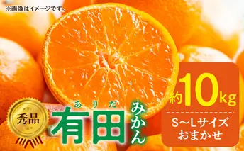 DZ6200_01_【2026年1月発送】秀品 有田みかん 和歌山県産 S～Lサイズ 大きさお任せ  約10kg