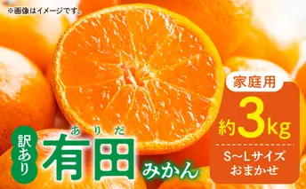 DZ6203_01_【2026年1月発送】家庭用 有田みかん 和歌山県産  S～Lサイズ 大きさお任せ 約3kg