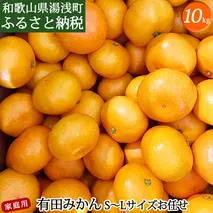 DZ6201_01_【2026年1月発送】ご家庭用 有田みかん 和歌山 S～Lサイズ 大きさお任せ 約10kg