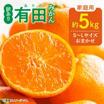 DZ6202_01_【2026年1月発送】ご家庭用 有田みかん 和歌山県産 S～Lサイズ 大きさお任せ 約5kg