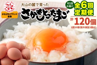 [定期便／6ヶ月] 月1回 さかもとのたまご 20個 (18個＋割れ保証2個) 合計120個｜坂本養鶏 大山の麓で育ったさかもとのたまご 赤玉卵 玉子 鶏卵 伊勢原市 赤玉卵 玉子 生卵 国産 TKG タマゴ 新鮮 大山 鶏 ギフト 安心 安全 親子丼 卵焼き 目玉焼き お菓子 [0751]