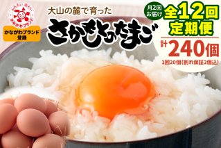 [定期便／6ヶ月] 月2回 全12回 さかもとのたまご 20個 (18個＋割れ保証2個) 合計240個｜坂本養鶏 大山の麓で育ったさかもとのたまご 赤玉卵 玉子 鶏卵 伊勢原市 赤玉卵 玉子 生卵 国産 TKG タマゴ 新鮮 大山 鶏 ギフト 安心 安全 親子丼 卵焼き 目玉焼き お菓子 [0754]