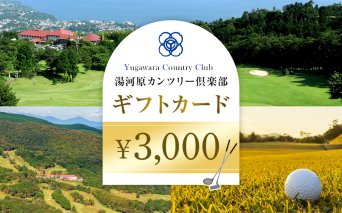 湯河原カンツリー倶楽部ギフトカード 3,000円分