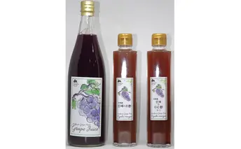 ぶどう農家浅桑園のこだわり巨峰のジュース&お酢セット 果汁飲料 野菜飲料 ぶどうジュース ブドウ たれ ドレッシング 果実酢 
