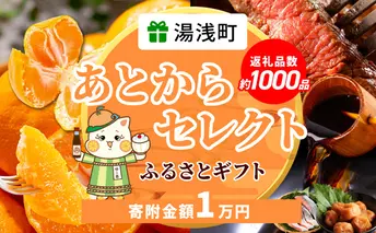 ZZ1005_あとからセレクト【ふるさとギフト】1万円