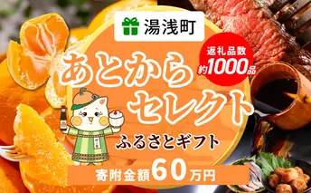 ZZ1019_あとからセレクト【ふるさとギフト】60万円