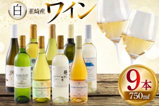 ワイン 白ワイン好き必見！お得な白ワイン9本 飲み比べセット 750ml×8本 720ml×1本 [株式会社まあめいく 山梨県 韮崎市 20745324] ワイン Wine わいん 白ワイン 飲み比べセット お酒 酒 山梨ワイン セット