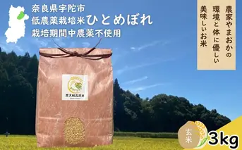 ひとめぼれ 低農薬栽培＜令和7年産 玄米 3kg ＞ / ふるさと納税 低農薬 米 お米 こめ コメ 国産 新米 玄米 一等米 農家やまおか 奈良県 宇陀市