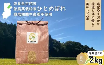 【定期便3回】 自然栽培米 玄米 ＜令和7年産 2kg ＞ ／ ふるさと納税 無農薬 米 お米 一等米 こめ コメ 国産 新米 玄米 農家やまおか 奈良県 宇陀市
