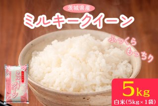 新米【令和7年産】ふっくらもっちり 茨城県産 ミルキークイーン 白米 5kg×1袋｜お米 おこめ 精米 直送 稲敷 茨城 [1817]