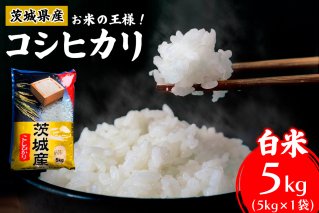 新米【令和7年産】お米の王様！茨城県産 コシヒカリ 白米 5kg×1袋｜おこめ 精米 こしひかり 直送 稲敷 茨城 [1819]