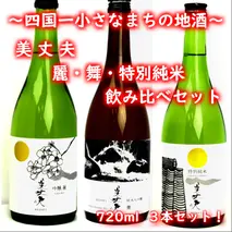 【四国一小さなまちの地酒】 美丈夫 720ml×３本 飲み比べセットD（吟醸 麗・純米大吟醸 舞・特別純米酒）