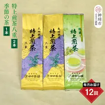 【毎月お届け12回】特上煎茶八重2本と季節のお茶1本(合計100g×3本)【田中茶舗 銘茶問屋 特上煎茶 八重 100g サエミドリ 甘い口当たり うま味 渋み 深み 九州】(H047121)
