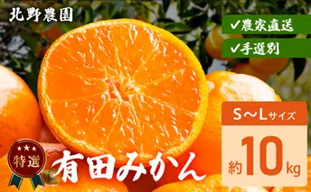 DZ6231_特選 有田みかん 和歌山 S～Lサイズ 大きさお任せ 約10kg