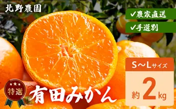 DZ6234_特選 有田みかん 和歌山 S～Lサイズ 大きさお任せ 約2kg