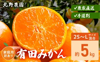 DZ6236_家庭用 訳あり 有田みかん 和歌山 2S～Lサイズ混合 約5kg