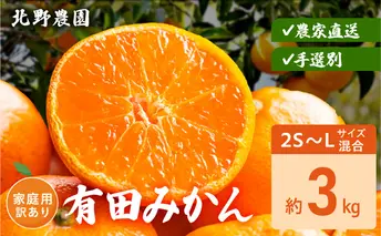 DZ6237_家庭用 訳あり 有田みかん 和歌山 2S～Lサイズ混合 約3kg