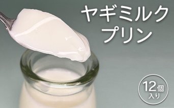 完全無添加ヤギミルクプリン (12個入り) プリン | ぷりん ヤギミルクプリン ヤギミルク 菓子 スイーツ デザート お菓子 洋菓子 手作り 12個 愛知県 美浜町 冷凍 ※離島への配送不可