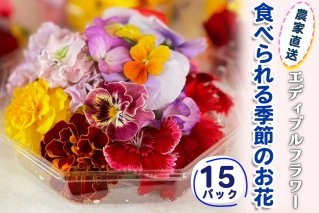 農家直送！加藤さんちのエディブルフラワー 15パック (1パックあたり季節のお花15輪から30輪)｜食用 花 お花 野菜 トッピング 付け合わせ [0766]