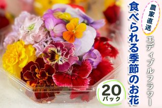 農家直送！加藤さんちのエディブルフラワー 20パック (1パックあたり季節のお花15輪から30輪)｜食用 花 お花 野菜 トッピング 付け合わせ [0767]