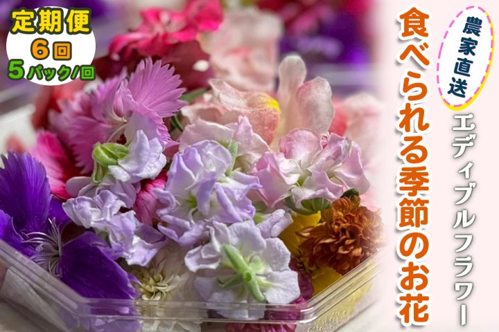定期便6回] 農家直送！加藤さんちのエディブルフラワー 5パック (1