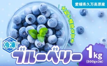 冷凍 ブルーベリー 大粒 1kg (500g×2パック) 5種類ミックス | 国産 愛媛県 久万高原町 農園直送 栽培期間中 農薬不使用 果実 フルーツ 果物 くだもの 朝食 ヨーグルト スムージー ビタミンC 食物繊維 長期保存