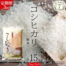 【 3ヶ月 定期便 】【 令和7年産 】 コシヒカリ 精米 5kg × 3回 ( 合計 15kg )（茨城県共通返礼品かすみがうら市）新米 米 ごはん もっちり 甘い コメ お米 白米 銘柄米 [EX017sa]