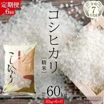 【 6ヶ月 定期便 】【 令和7年産 】 コシヒカリ 精米 10kg ( 10kg × 1袋 ) × 6回 ( 合計 60kg )（茨城県共通返礼品かすみがうら市）新米 米 ごはん もっちり 甘い コメ お米 白米 銘柄米 [EX020sa]