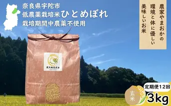 【定期便12回】ひとめぼれ 低農薬栽培＜令和7年産 玄米 3kg ＞ / ふるさと納税 低農薬 米 お米 こめ コメ 国産 新米 玄米 一等米 農家やまおか 奈良県 宇陀市