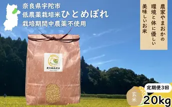 【定期便3回】ひとめぼれ 低農薬栽培＜令和7年産 玄米 20kg ＞ / ふるさと納税 低農薬 米 お米 こめ コメ 国産 新米 玄米 一等米 農家やまおか 奈良県 宇陀市
