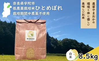 ひとめぼれ 低農薬栽培＜令和7年産 白米 8.5kg ＞ / ふるさと納税 低農薬 米 お米 こめ コメ 国産 新米 玄米 一等米 農家やまおか 奈良県 宇陀市