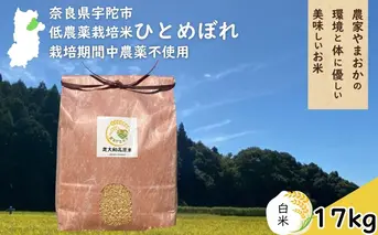 ひとめぼれ 低農薬栽培＜令和7年産 白米 17kg ＞ / ふるさと納税 低農薬 米 お米 こめ コメ 国産 新米 玄米 一等米 農家やまおか 奈良県 宇陀市