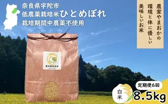 【定期便6回】ひとめぼれ 低農薬栽培＜令和7年産 白米 8.5kg ＞ / ふるさと納税 低農薬 米 お米 こめ コメ 国産 新米 玄米 一等米 農家やまおか 奈良県 宇陀市