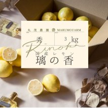 レモン りのか 3kg | 国産 れもん 璃の香 檸檬 ワックス 防腐剤 不使用 フルーツ くだもの 果物 数量限定 愛知県 美浜町 ※北海道・沖縄・離島への配送不可 ※2026年1月中旬～2月中旬頃に順次発送予定