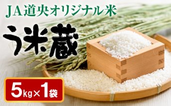 北海道う米蔵5kg【290026】