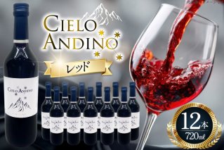 ワイン 赤 シエロアンディーノ・レッド 720ml 12本 セット [カサ・ピノ・ジャパン 山梨県 韮崎市 20745347] ワインセット 山梨 酒 お酒 赤ワイン アルコール ぶどう 果実酒