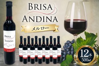 ワイン 赤 ブリサ・アンディーナ メルロー 500ml 12本 セット [カサ・ピノ・ジャパン 山梨県 韮崎市 20745346] ワインセット 山梨 酒 お酒 赤ワイン アルコール ぶどう 果実酒