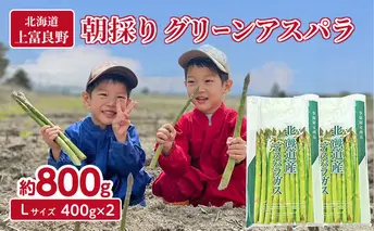 数量限定！【2026年分先行予約】 アスパラガス 専門農家 の 特選 グリーン アスパラ 800g  L サイズ 原農園 アスパラ あすぱら 野菜 北海道 上富良野町