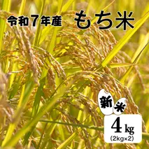 ≪数量限定≫ 【四国一小さなまちのもち米】 令和7年産 『 もち米 』 4kg（ 2kg × 2袋 ）