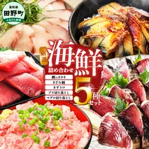 厳選 海鮮5種詰め合わせセット 鰹のタタキ600g マグロ切り落とし200g ブリ切り落とし150g きざみ鰻80g ネギトロ100g かつお カツオ まぐろ 鮪 ぶり うなぎ 冷凍 高知 小分け おいしい 高知県 田野町
