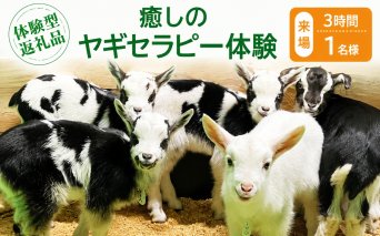 [体験型返礼品]癒しのヤギセラピー体験(来場/3時間/1名)(愛知ヤギ農場)