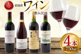 赤ワイン 4本 飲み比べセット　750ml×4本 [株式会社まあめいく 山梨県 韮崎市 20745328] ワイン Wine わいん 赤 飲み比べセット お酒 酒 山梨ワイン セット