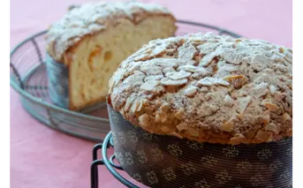 A-155　ベネチアーナ